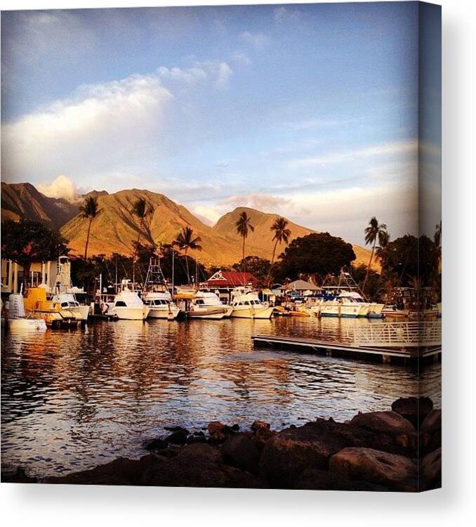  Canvas Print featuring the photograph Lahaina Harbor #1 by Darice Machel McGuire