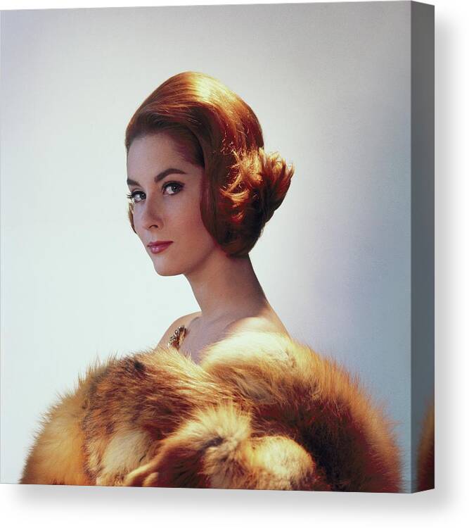 Studio Shot Canvas Print featuring the photograph Model Wearing Fur Stole And Gold Brooch #1 by Horst P. Horst
