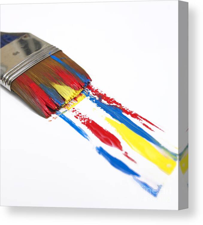 Studio Shot Canvas Print featuring the photograph Paintbrush #1 by Bernard Jaubert