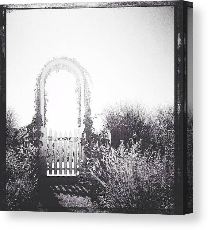 Bnw_demand Canvas Print featuring the photograph Private #1 by Natasha Marco