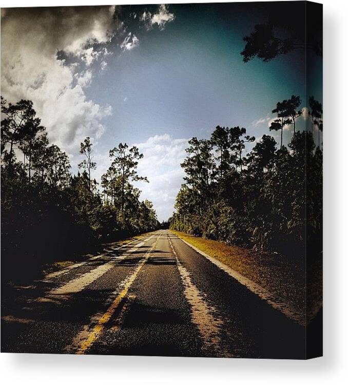 Road Canvas Print featuring the photograph The Everglades - Fl #1 by Joel Lopez