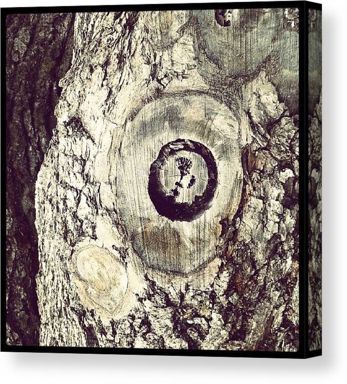  Canvas Print featuring the photograph Tree #1 by Raimond Klavins
