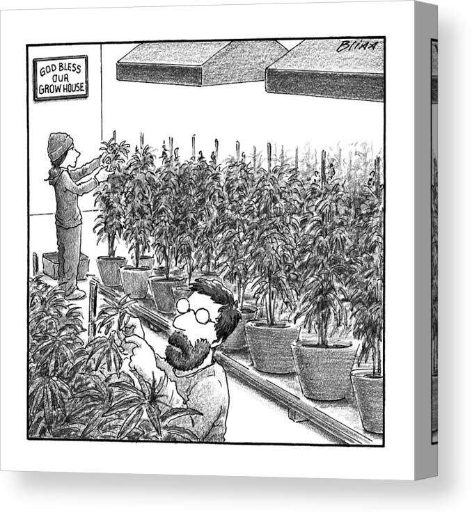 Weed Canvas Print featuring the drawing New Yorker November 21st, 2016 by Harry Bliss