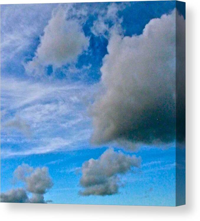  Canvas Print featuring the photograph Variations On A Theme #1 by John Griffin