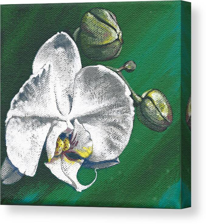 White Orchid Canvas Print featuring the painting White Orchids II #2 by Joan Garcia