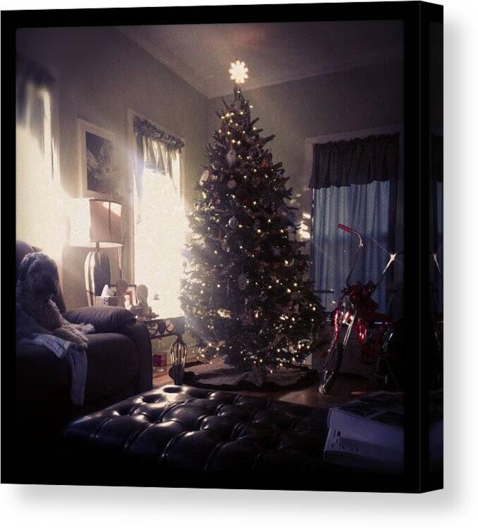 Christmas Canvas Print featuring the photograph 10 Days Till #christmas! #tree #dog by Joseph Vumbaco