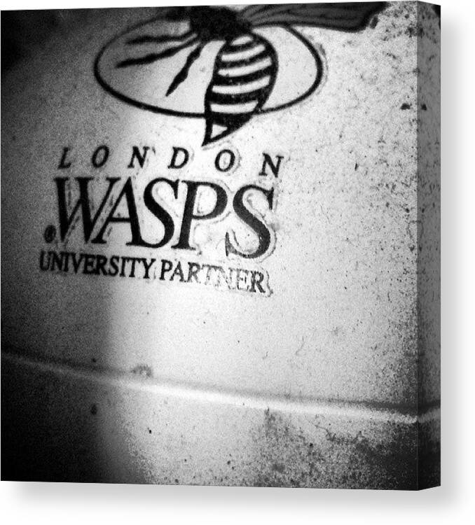 Monochromatic Canvas Print featuring the photograph The Wasps by Jason Roust