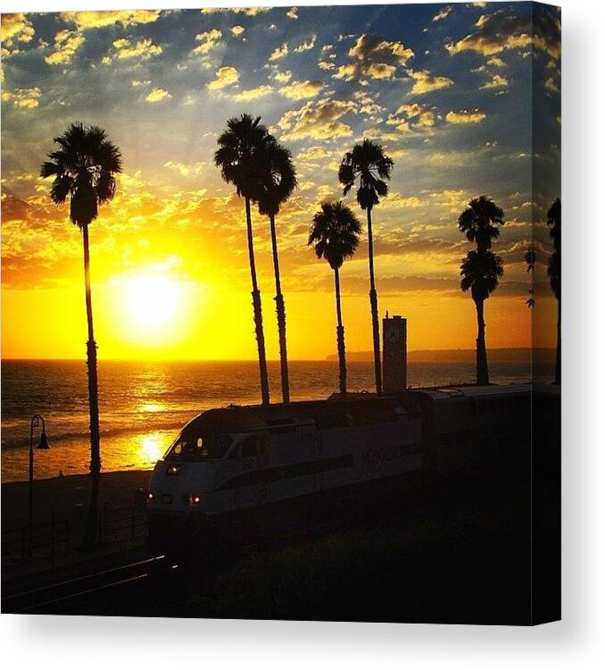Southern California Canvas Print featuring the photograph Palm Trees and Train by Hal Bowles