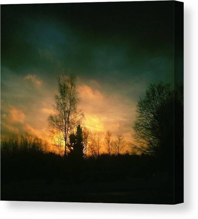 Nature Canvas Print featuring the photograph #tweegram #photooftheday #amazing #look #15 by Thomas Johansen