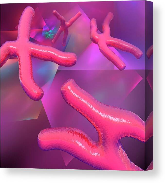 Physiology Canvas Print featuring the digital art Chromosomes, Artwork #2 by Laguna Design