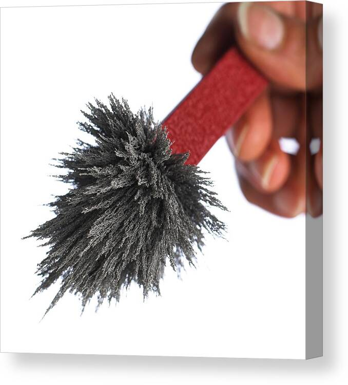 Iron Canvas Print featuring the photograph Iron Filings On A Magnet #2 by Science Photo Library