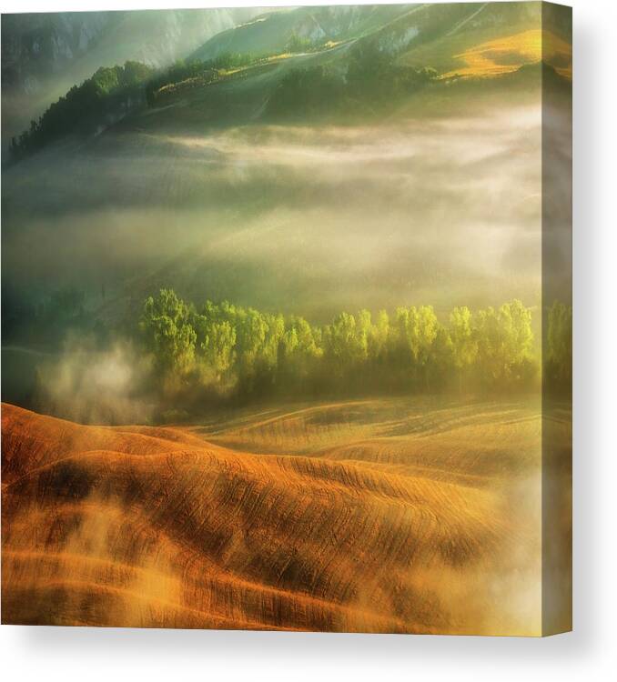 Fields Canvas Print featuring the photograph Mist... by Krzysztof Browko