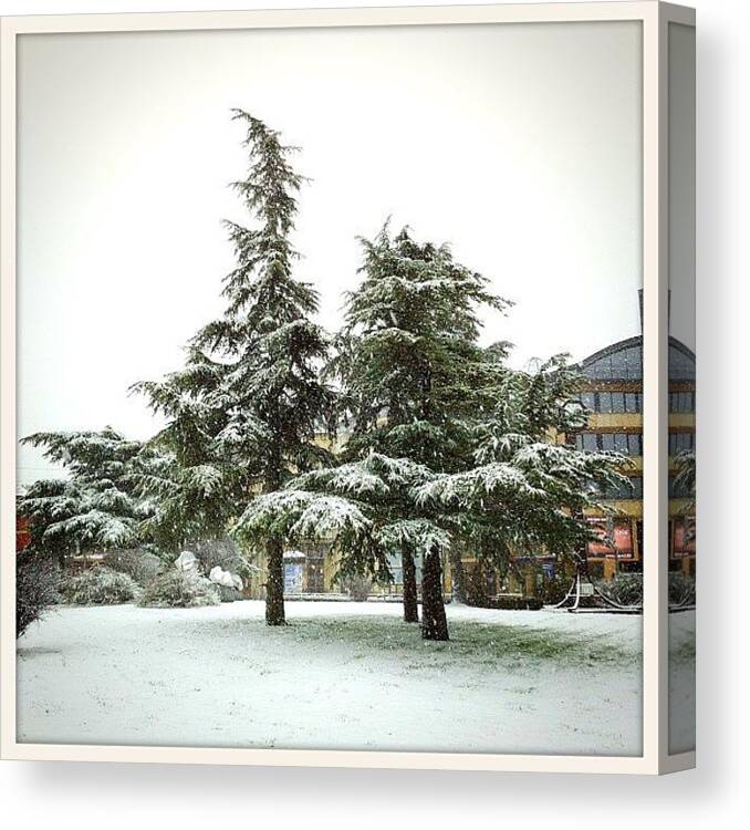 Igersrussia Canvas Print featuring the photograph Paracin,serbia.27.03.2013 #serbia #2 by Grigorii Arzhanykh