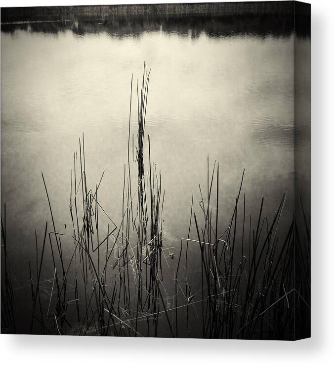 Bog Canvas Print featuring the photograph Pond #2 by Les Cunliffe