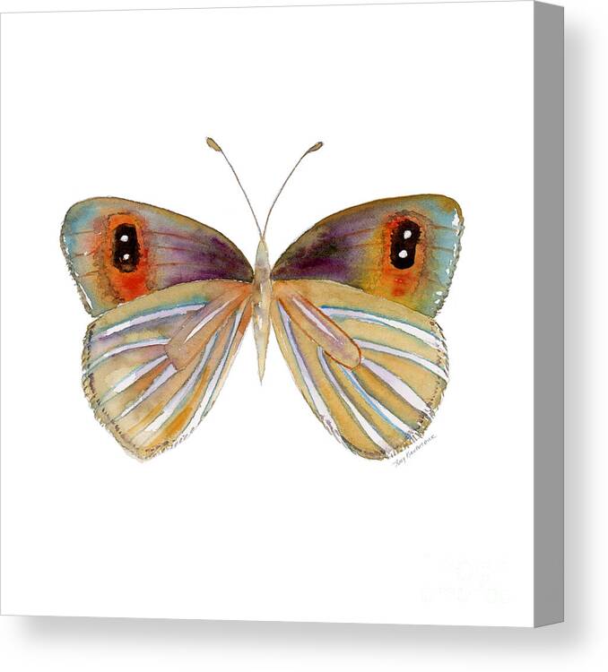 Argyrophenga Canvas Print featuring the painting 24 Argyrophenga Butterfly by Amy Kirkpatrick