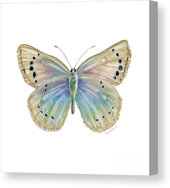 Alexis Canvas Print featuring the painting 25 Alexis Butterfly by Amy Kirkpatrick