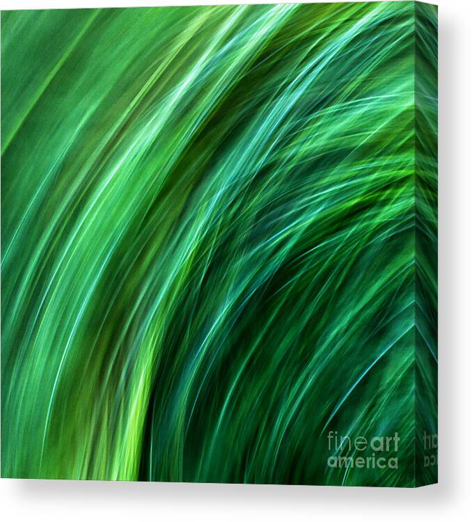 Joanne Bartone Photographer Canvas Print featuring the photograph Meditations on Movement in Nature #29 by Joanne Bartone