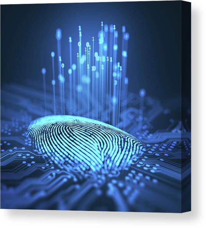 Artwork Canvas Print featuring the photograph Fingerprint And Printed Circuit Board #3 by Ktsdesign/science Photo Library
