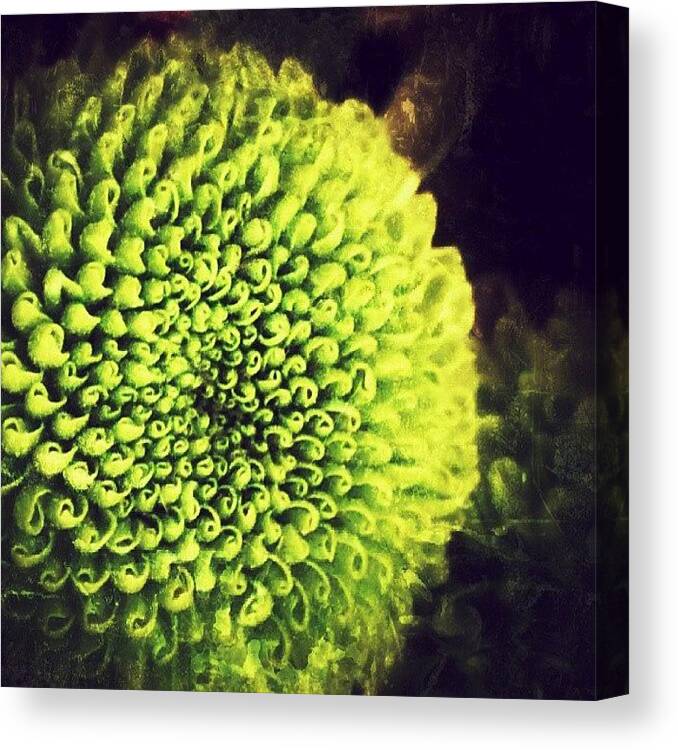 Beautiful Canvas Print featuring the photograph #photography #photos #snapshot #art #1 by Jacqueline Schreiber