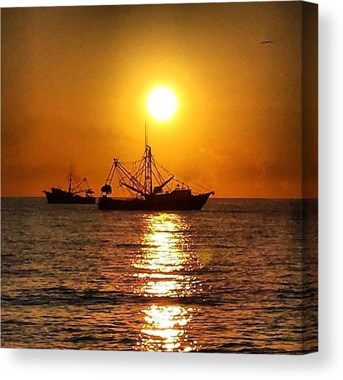 Sunset Canvas Print featuring the photograph Sunset behind shrimp boats by Adam Williams