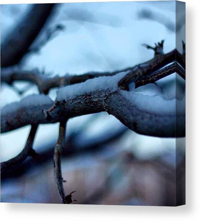 Pueblo Canvas Print featuring the photograph #photooftheday , #photography #359 by Tony Martinez