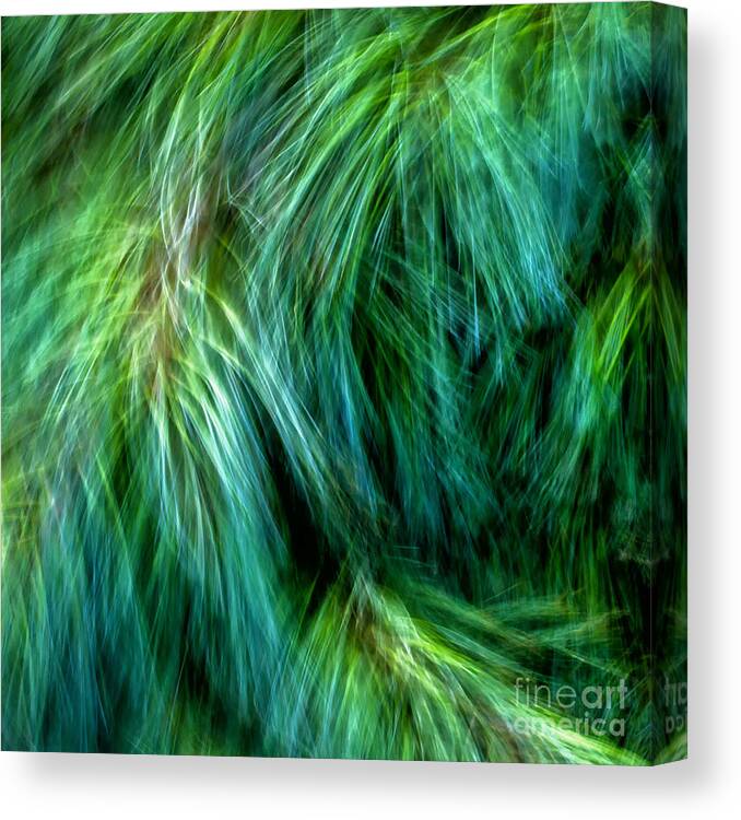 Joanne Bartone Photographer Canvas Print featuring the photograph Meditations on Movement in Nature #5 by Joanne Bartone