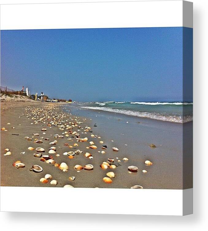 Picstitch Canvas Print featuring the photograph 🐚🐚🐚 🏄🚣 #5 by Styledeouf ®