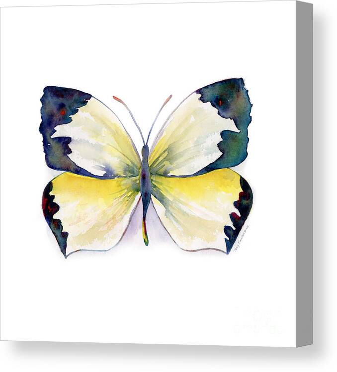 Mexican Canvas Print featuring the painting 55 Mexican Yellow Butterfly by Amy Kirkpatrick