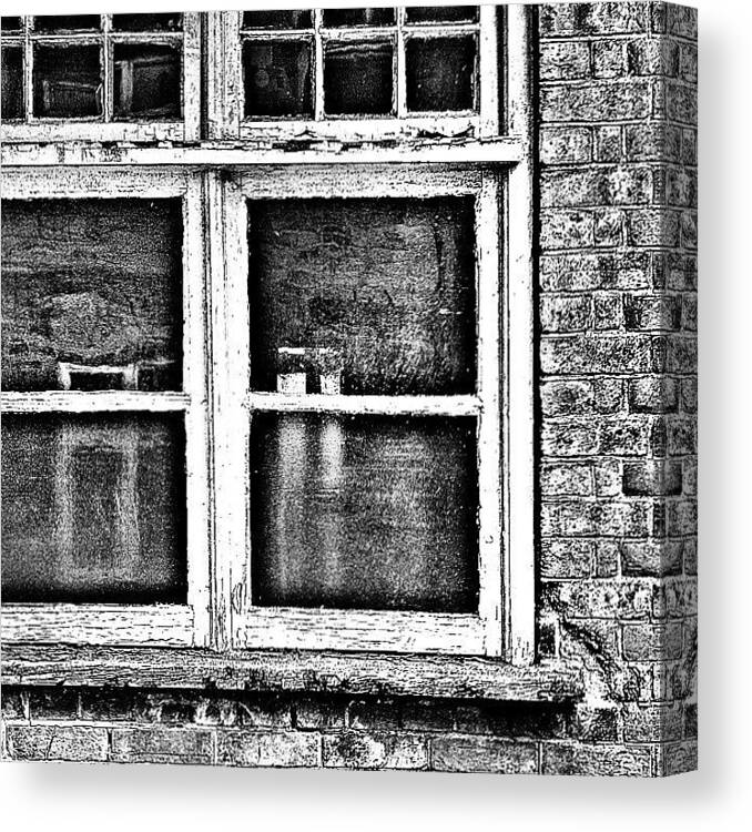 Beautiful Canvas Print featuring the photograph The Window by Jason Roust