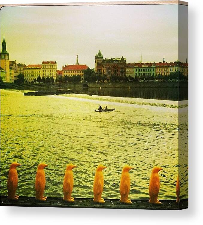  Canvas Print featuring the photograph Instagram Photo #651399877595 by Milk Spoon