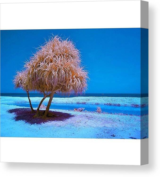 Popmeth Canvas Print featuring the photograph Love This Picture? Check Out My Gallery #70 by Tommy Tjahjono