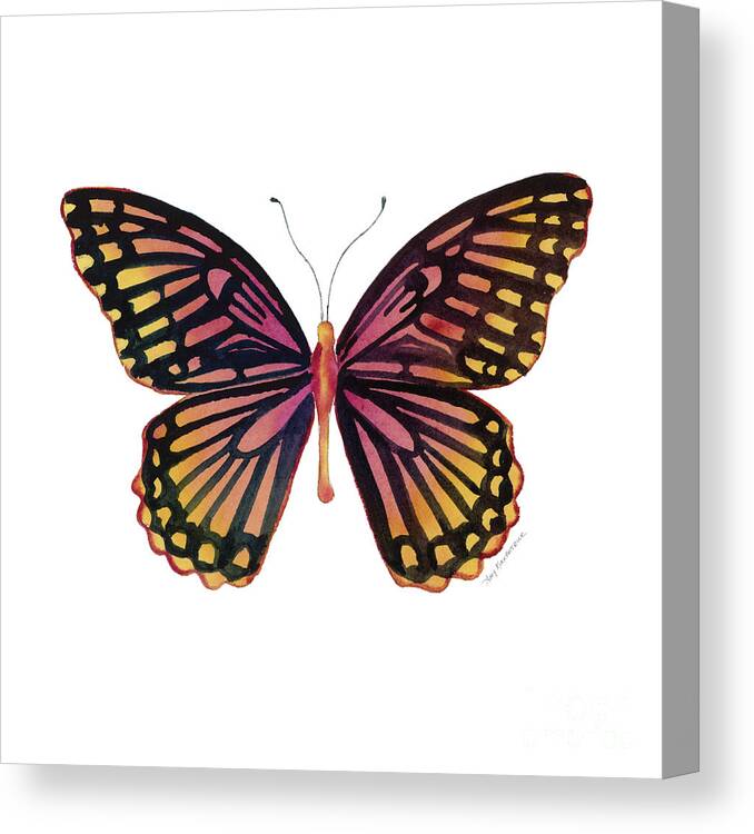 Mime Butterfly Canvas Print featuring the painting 70 Sunrise Mime Butterfly by Amy Kirkpatrick