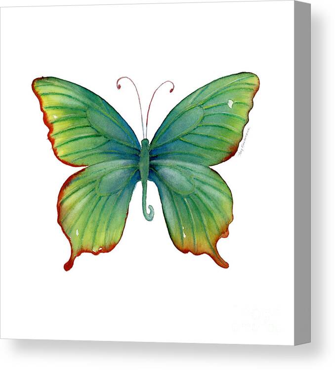 Butterfly Canvas Print featuring the painting 74 Green Flame Tip Butterfly by Amy Kirkpatrick