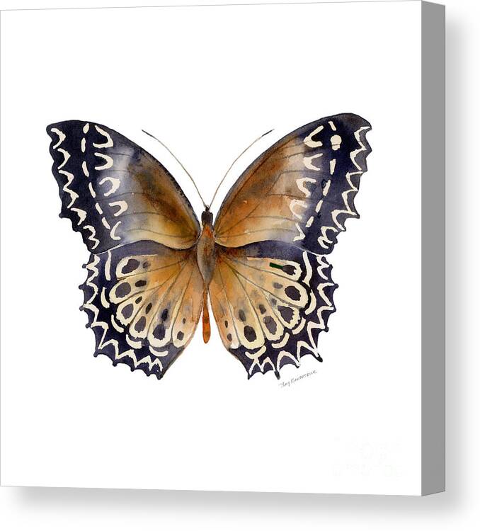 Cethosia Canvas Print featuring the painting 77 Cethosia Butterfly by Amy Kirkpatrick