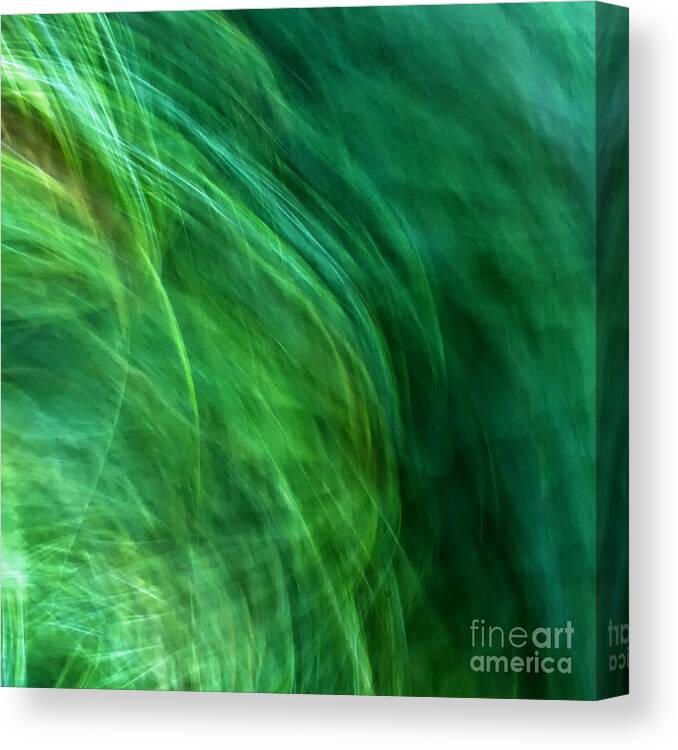 Joanne Bartone Photographer Canvas Print featuring the photograph Meditations on Movement in Nature #8 by Joanne Bartone