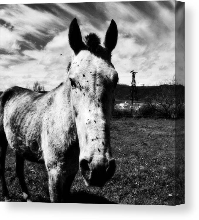 Canvas Print featuring the photograph Instagram Photo #811407568477 by Neli Garcia