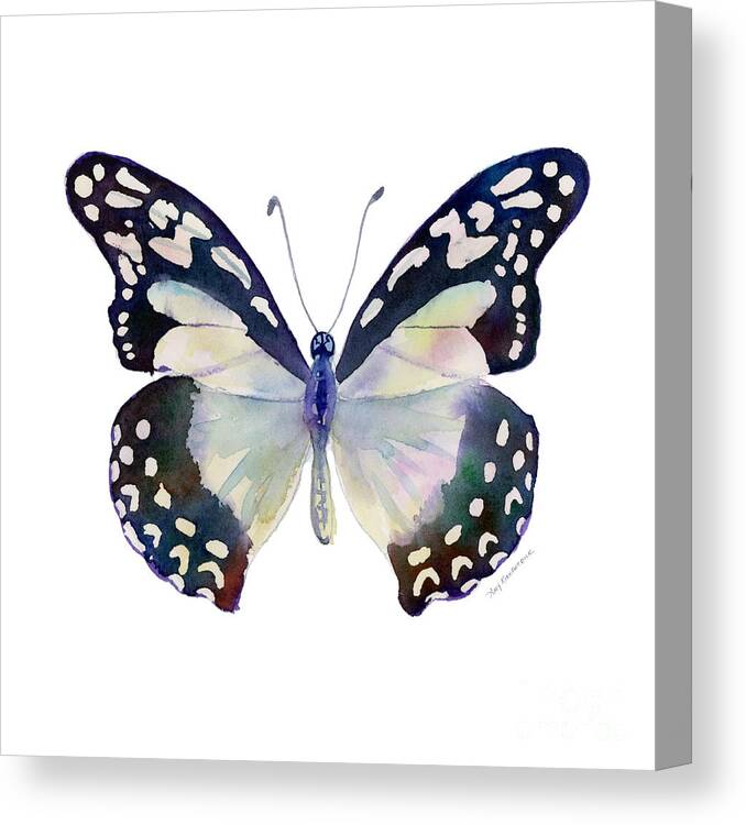 Angola White Lady Butterfly Canvas Print featuring the painting 90 Angola White Lady Butterfly by Amy Kirkpatrick