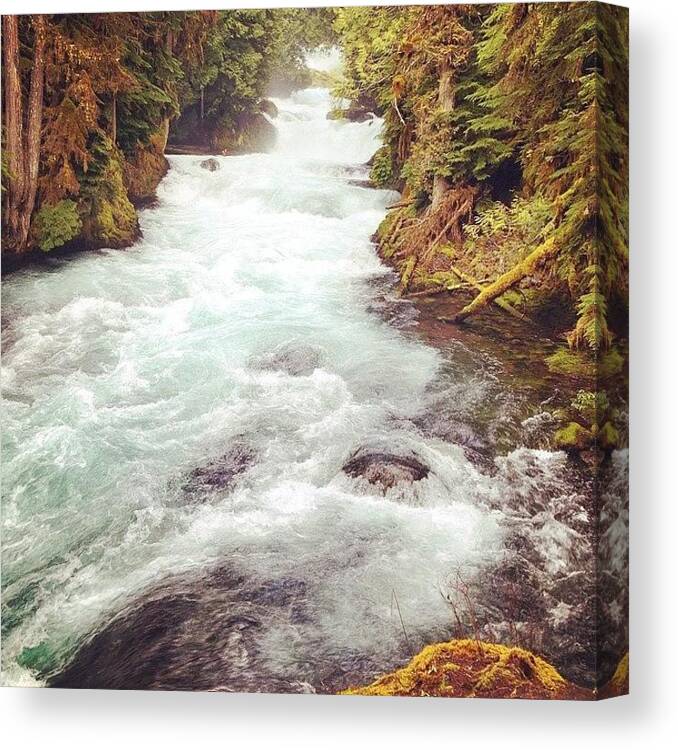  Canvas Print featuring the photograph Instagram Photo #901397082359 by Megan Lacy