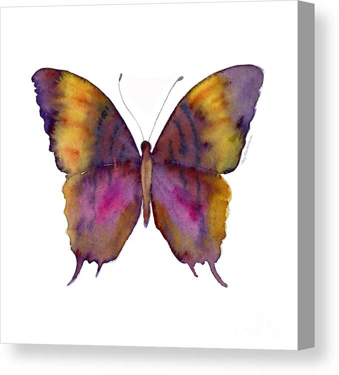 Marcella Daggerwing Butterfly Canvas Print featuring the painting 99 Marcella Daggerwing Butterfly by Amy Kirkpatrick