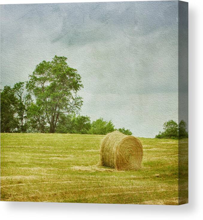 Agricultural Canvas Print featuring the photograph A Day at the Farm by Kim Hojnacki