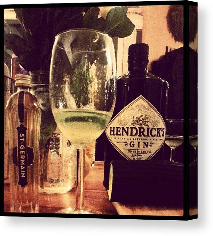 Hendricks_gin Canvas Print featuring the photograph A Lifestyle Is A Terrible Thing To by Devin Muylle