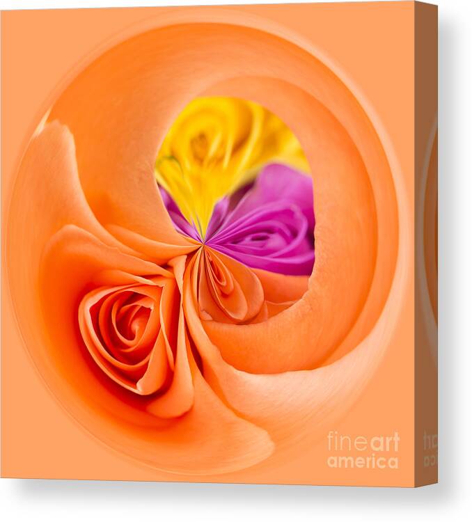 Art Canvas Print featuring the photograph A Round Of Roses by Anne Gilbert