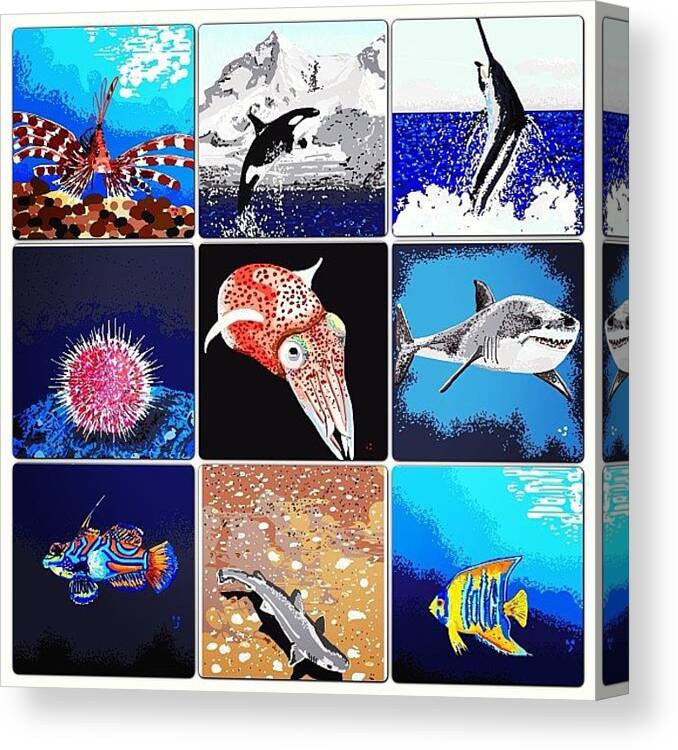Seacreatures Canvas Print featuring the photograph A #seacreatures Collage Of Nine Of My by David Burles