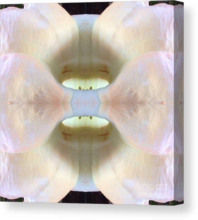 Flower Canvas Print featuring the photograph Abstract Bloom by Alice Terrill