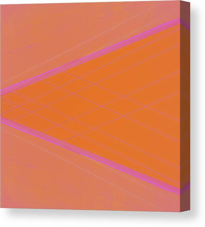 Abstract Canvas Print featuring the photograph Abstraction in Pink Number 4 by Carol Leigh