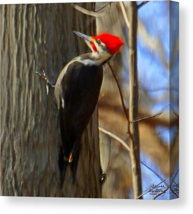 Woodpecker Canvas Print featuring the painting Adult Male Pileated Woodpecker by Bruce Nutting