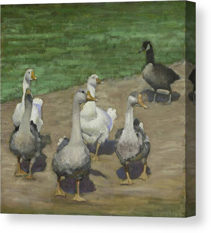  Canvas Print featuring the painting Afternoon Geese Walk by John Reynolds