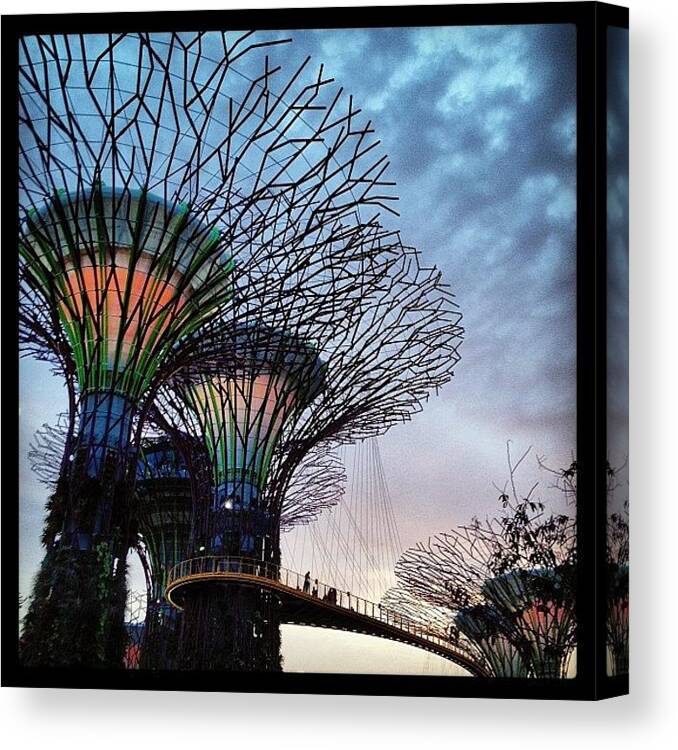 Supertrees Canvas Print featuring the photograph Evening Supertrees and Skyway by Jeff Leong