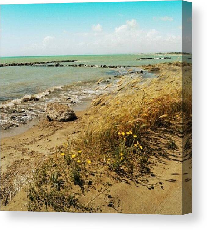 Love Canvas Print featuring the photograph Almost Summer by Emanuela Carratoni