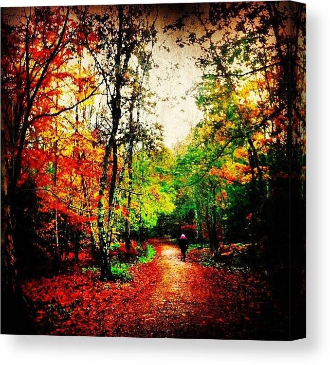 Instagramtags Canvas Print featuring the photograph Alone Again by Urbane Alien